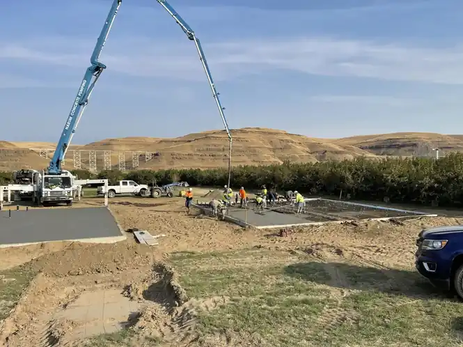 A boom pump placing concrete on a large slab beside the orchards, mixer trucks behind